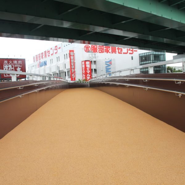 pathway in Japan